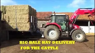 BIG BALE HAY DELIVERY FOR THE CATTLE