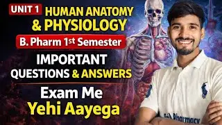 Human anatomy and Physiology B. pharm 1st semester important questions and solutions  | Unit 1 done
