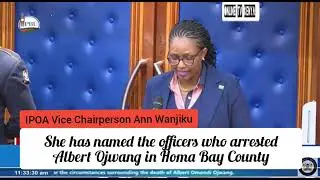 IPOA: Names of the Officers Who Arrested Albert Ojwang' in Homabay County.