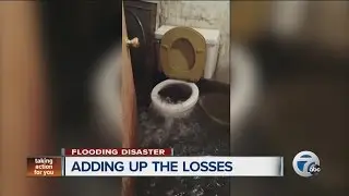 Sewage backup causes big headache for Royal Oak residents