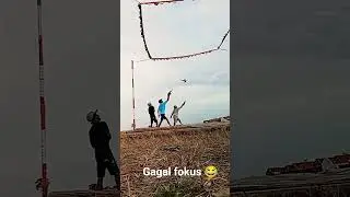 merpati lovers Brebes #merpati #merpatikolong