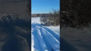 Зимняя прогулка
