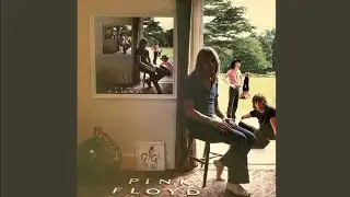 Pink Floyd - Several Species of Small Furry Animals Gathered Together in a Cave &ndash; 4:59 Track 6