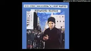 Ice Cube Amerikkka's Most Wanted type beat 