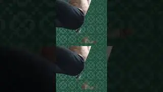 ab harness knee lifts