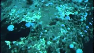 Shipwrecks of New Jersey