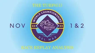 THE TURF RACE REPLAY ANALYSIS