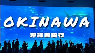 【沖繩Vlog】不自駕跟著北部一日遊去水族館看海豚！花生豆腐好吃到狂買回台灣?! 還有那霸市區阿古豬火鍋推薦 | 2025沖繩自由行下集 | 6號一家
