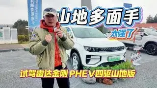 这台山地多面手太强了 试驾雷达金刚PHEV四驱山地版,汽车,新能源