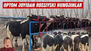 Optom Narxlarda Uddar Hunojinlar Arzonchi Akrom Akadan 