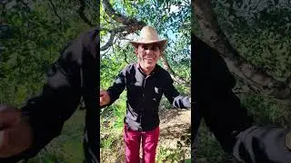 Tem gente pensando viu!