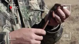 Finding Blind-Snakes