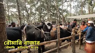 রৌমারির বিশাল বড় গরুর হাট | বিছিন্ন উপজেলাটি খুবই উন্নত | Cow market, Roumari, Kurigram, Rangpur