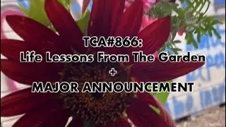 TCA#866: Garden Wisdom & Big Announcement.