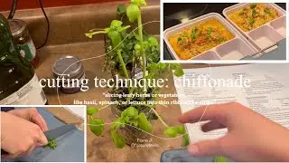 Culinary Skills | Cutting Techniques: Chiffonade 👩&zwj;🍳🌱🍲🥘
