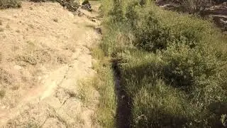 San Pedro Creek