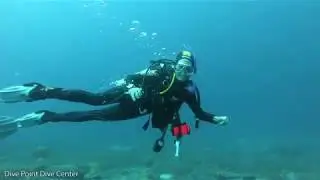 Caticugan dive with Dive Point Siquijor, Siquijor island