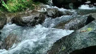 Calm River Water Sounds Flowing Over Rocks | Natural Sounds for Relaxation and Focus