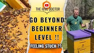 How to Stop Spinning Your Wheels?// beginner beekeeper to master beekeeper