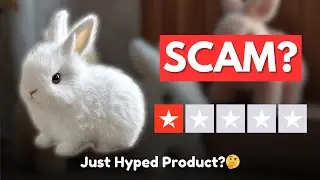 BetterLife Bunny Review - Is Betterlife Bunny Rabbit Worth Buying or SCAM?