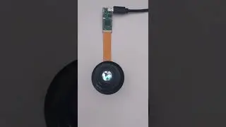 FLCOS Micro display 0.4