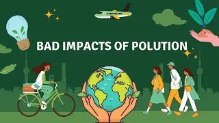 1080 The Shocking Impact of Pollution on Our #pollution #education