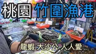 想不到墨西哥龍蝦猛成這樣 連賣海鮮的老闆也無法倖免 慘遭毒手受傷【跟著藝術家來放風】162 中文字幕 #漁港 #龍蝦 #紅蟳 #泰國蝦 #花蟹