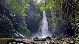 Jalan ke Air Terjun Telunjuk Raung BWI