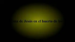 P&iacute;ldoras marianas: primer misterio doloroso: la agon&iacute;a de Jes&uacute;s en el huerto de los olivos.