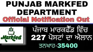 Jobs in punjab latest jobs in punjab markfed jobs recruitment in punjab jobs vacancies 2021