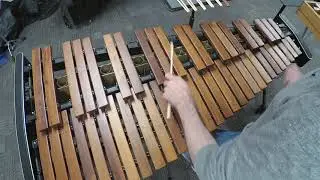 Apus Xylophone Mallets Demo | Exotic Birds