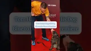 Tom Hardy&rsquo;s Dog Blue &mdash; Red Carpet Scene Stealer