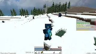 minez lowlight