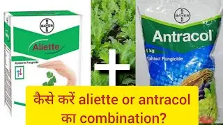 Aliette। Antracoal। Bayer। fungicide