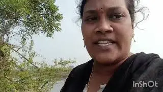 పంపుకి నీళ్ళు పోయడం కోసం నా తంటాలు పేరు తెలియని పూలు#videos#sprayer#inshot#trending