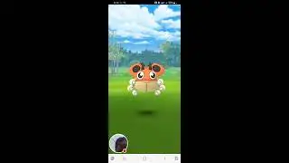 Pokemon Go Ledyba Spotlight Hour