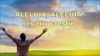 Aleluia, Aleluia - Negativ creștin