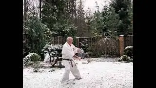 #hanshi #karate #kyokushinkarate #martialarts #martialarts #kyokushinway
