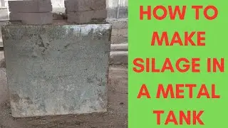 How to Make silage using an old metal tank #africa #farming #ghana #animals #urban #cattle #feed