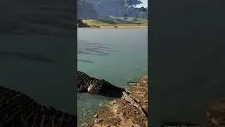 I'm just a baby | The Isle Evrima #theisleevrima #deinosuchus