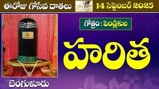 Goseva Dathalu | 2025 september 14th | Goseva Donors | Siddhaguru