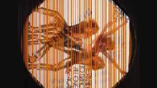 Lorraine Johnson Feed the flame bootleg mix