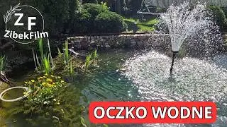Brudna woda znika. Porządki po zimie, Oczko wodne, maj 2025