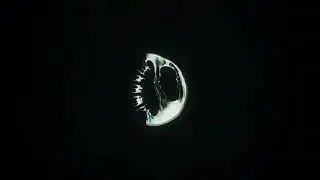Still Madness - In The Dark