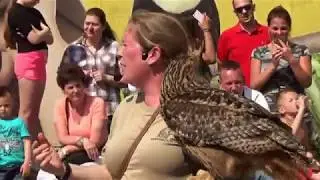 Valkeniers te gast bij Avonturia