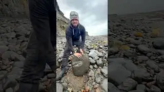 Jurassic Belemnite which was in a large loose shale slab hidden within lots of beach pebbles 😱⚒️