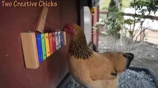 BACH BACH Chickens
