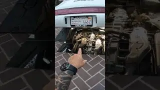 Ice blast Nut-Sack comparison with Ron! #iceblast #porsche