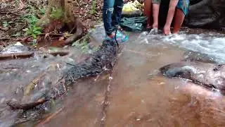 real bread, primitive jungle lifeskills, swimming pool house, secret ancient underground, how to