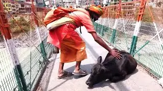 Walking Towards Tapovan // Crossing Laxman Jhula // Rishikesh 4K India